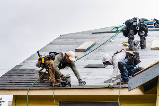 Professional Roof Installation technician working in Saint Louis, MI